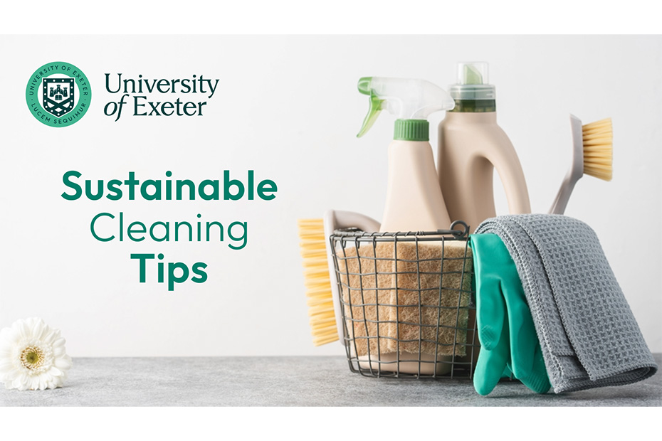 Top Tips for Sustainable Cleaning in your Student Accommodation