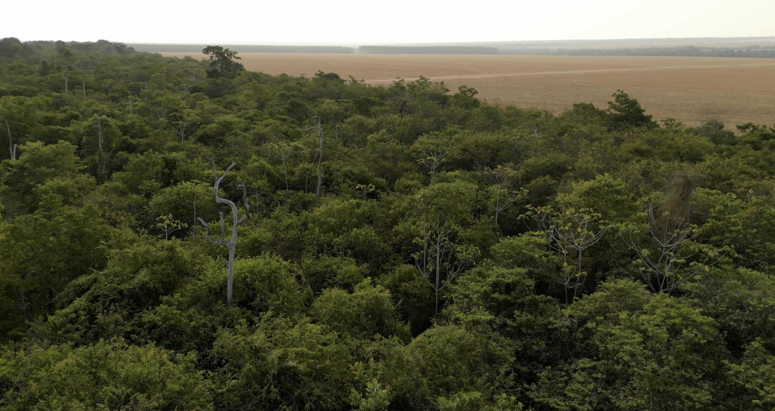 Amazon Forest to Field Project Officially Launched!