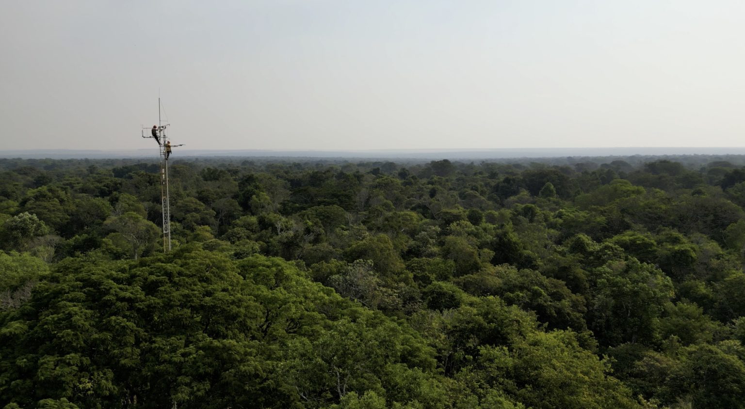Mato Grosso field research site, Amazon Forest to Field project