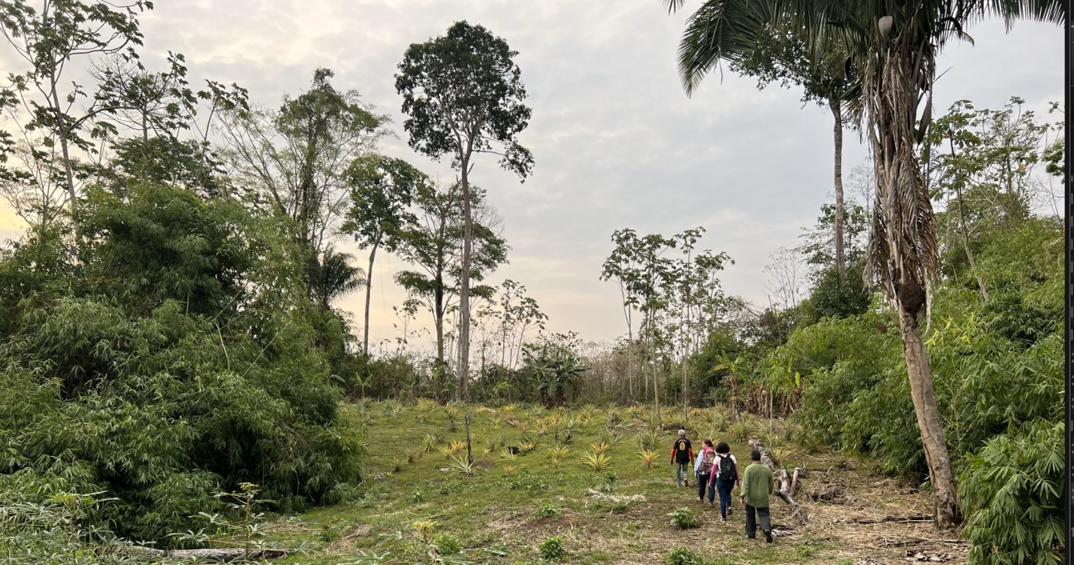 Amazon rainforest and agricultural land in Acre, Brazil, photographed during field work