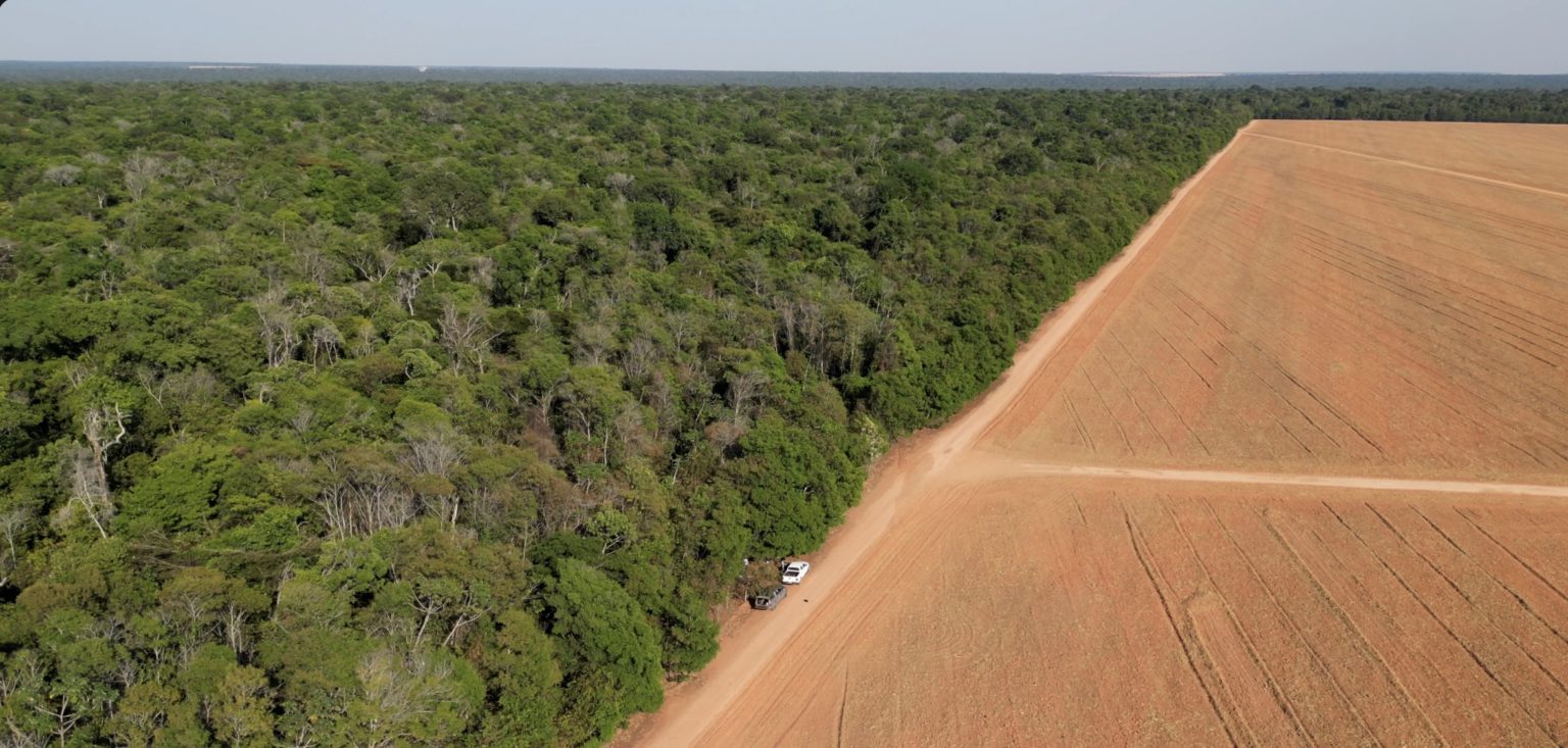 Aerial view of the Amazon deforestation frontier, forest meeting soy farmland, Mato Grosso, Brazil
