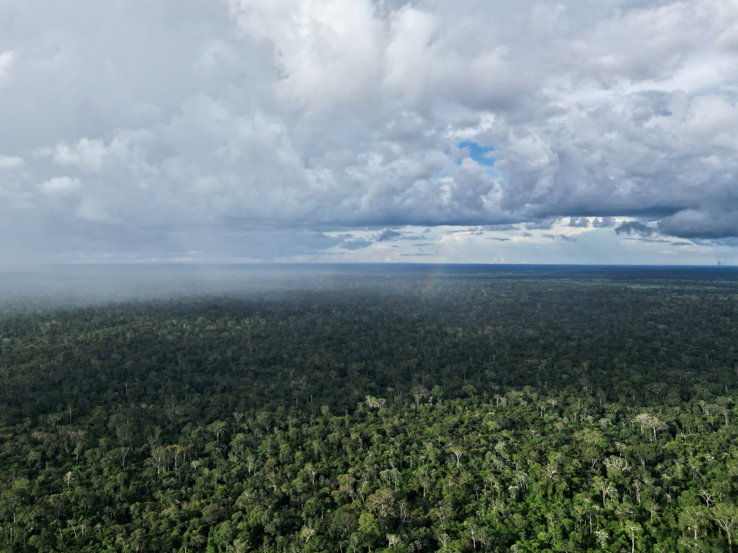 Aerial drone view across the Arc of Deforestation in the Brazilian Amazon