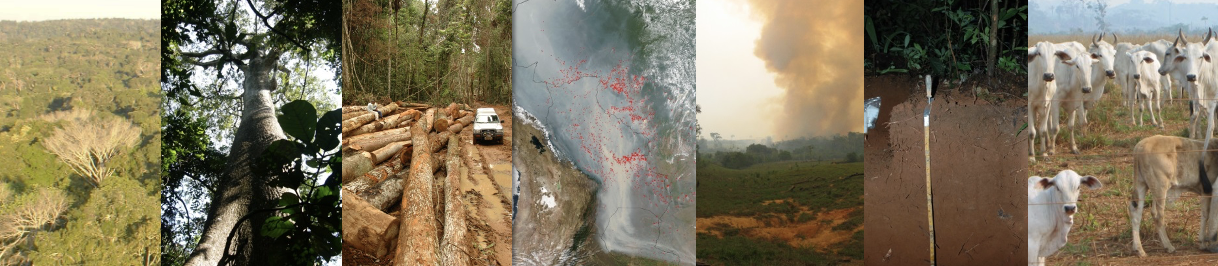 Amazon Soil Carbon — The Missing Credit