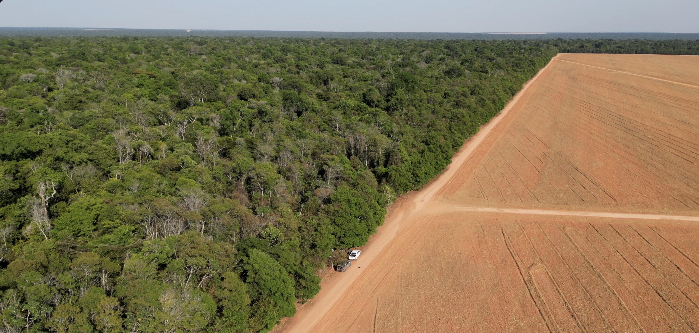 Aerial view of the Amazon deforestation frontier, forest meeting soy farmland, Mato Grosso, Brazil