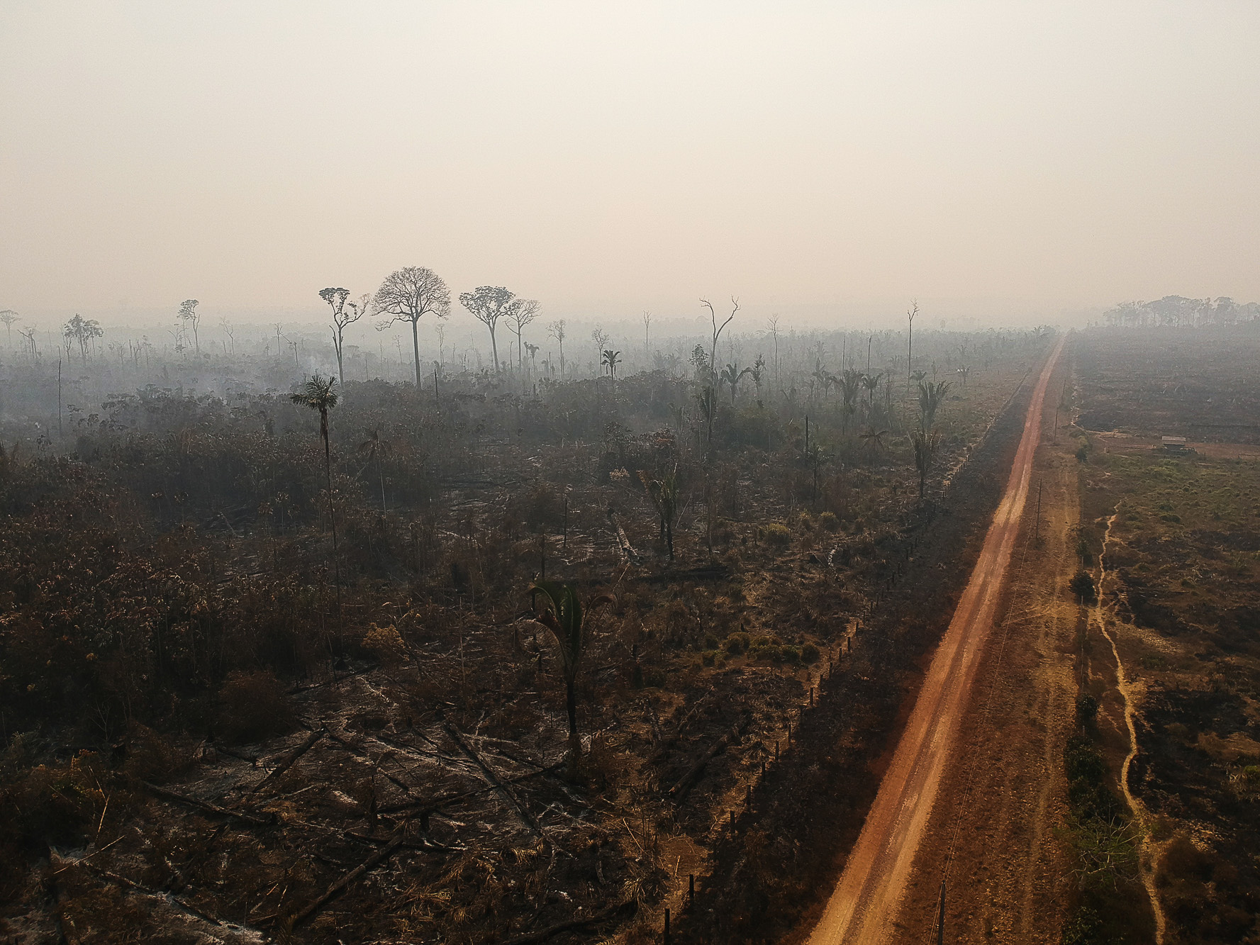 Deforestation and fires in the Amazon, 2020