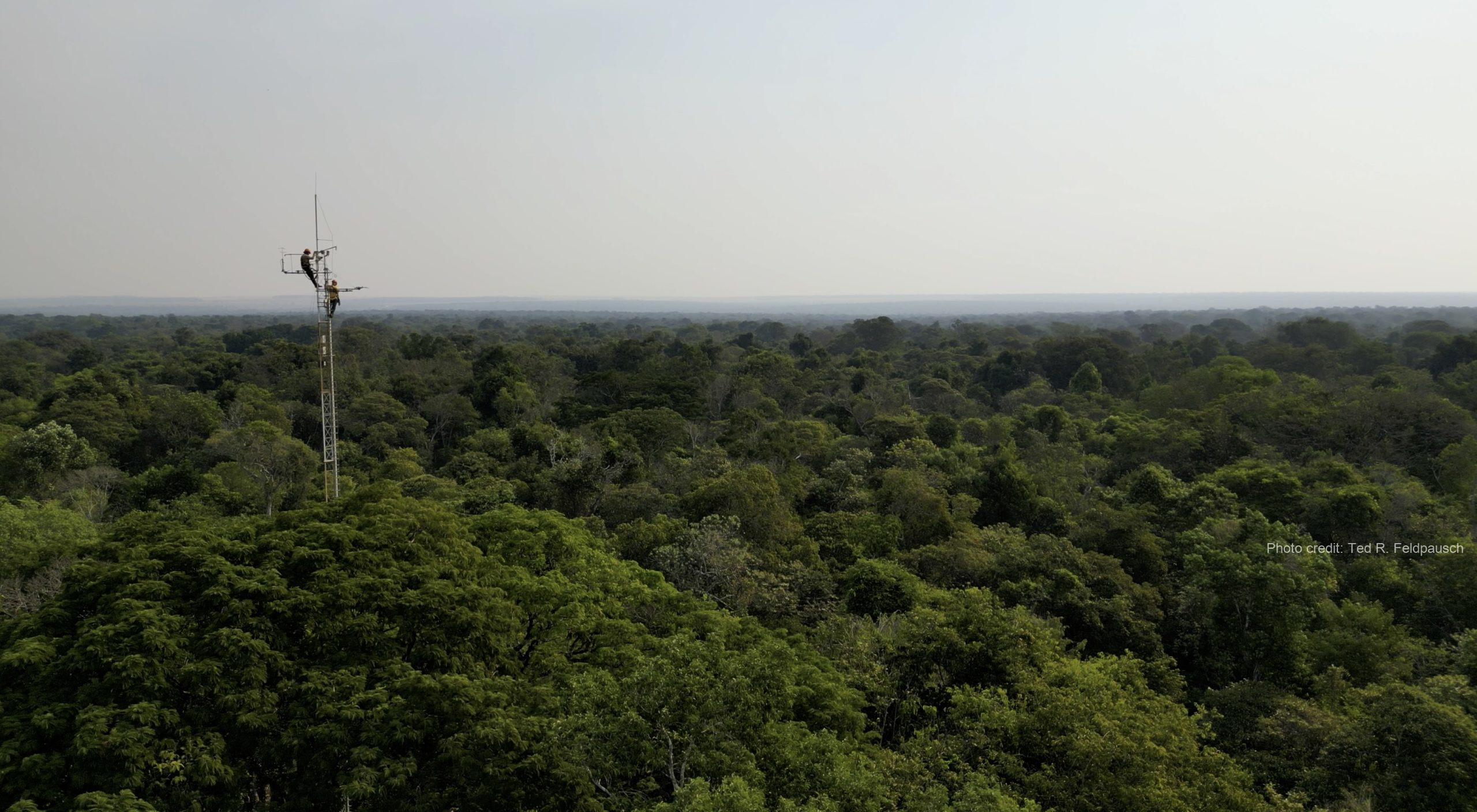 Mato Grosso field research site, Amazon Forest to Field project