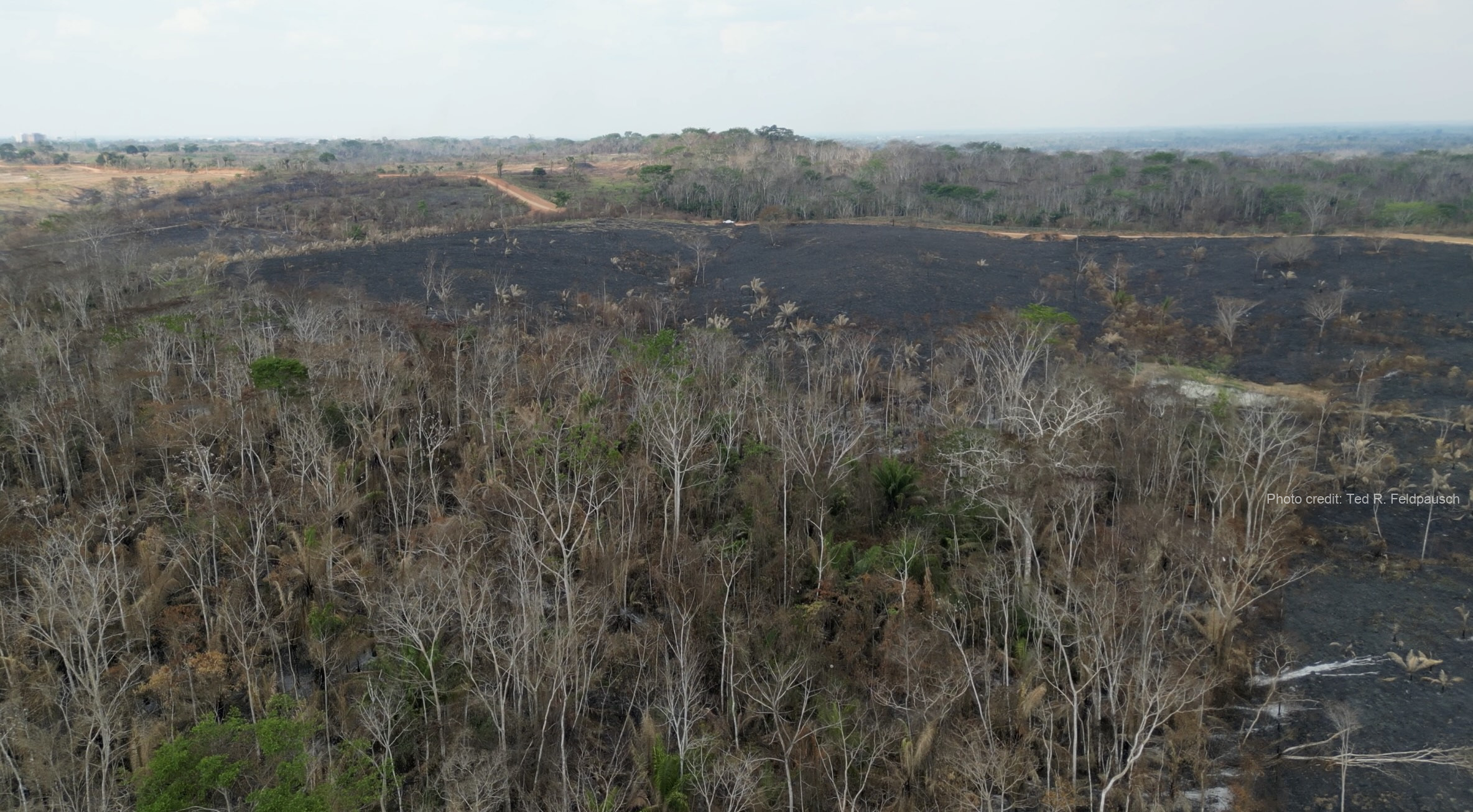Amazon soil carbon fieldwork