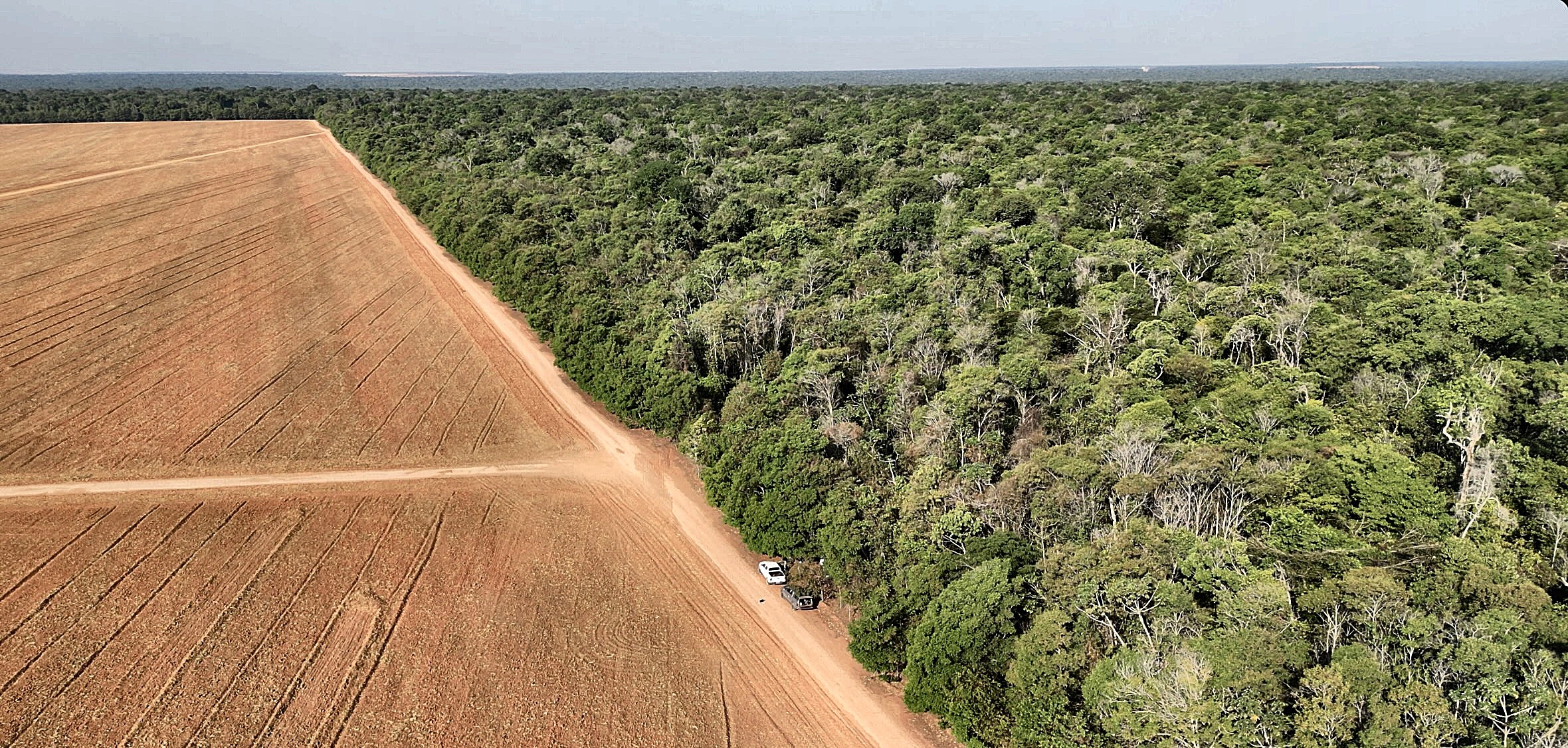 Aerial view of the Amazon deforestation frontier, forest meeting soy farmland, Mato Grosso, Brazil