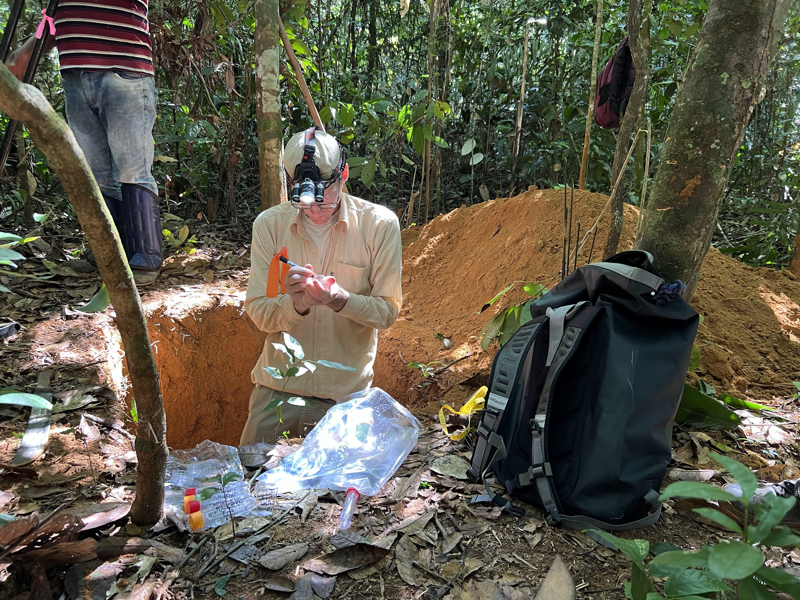 Amazon Soil Carbon: The Missing Credit