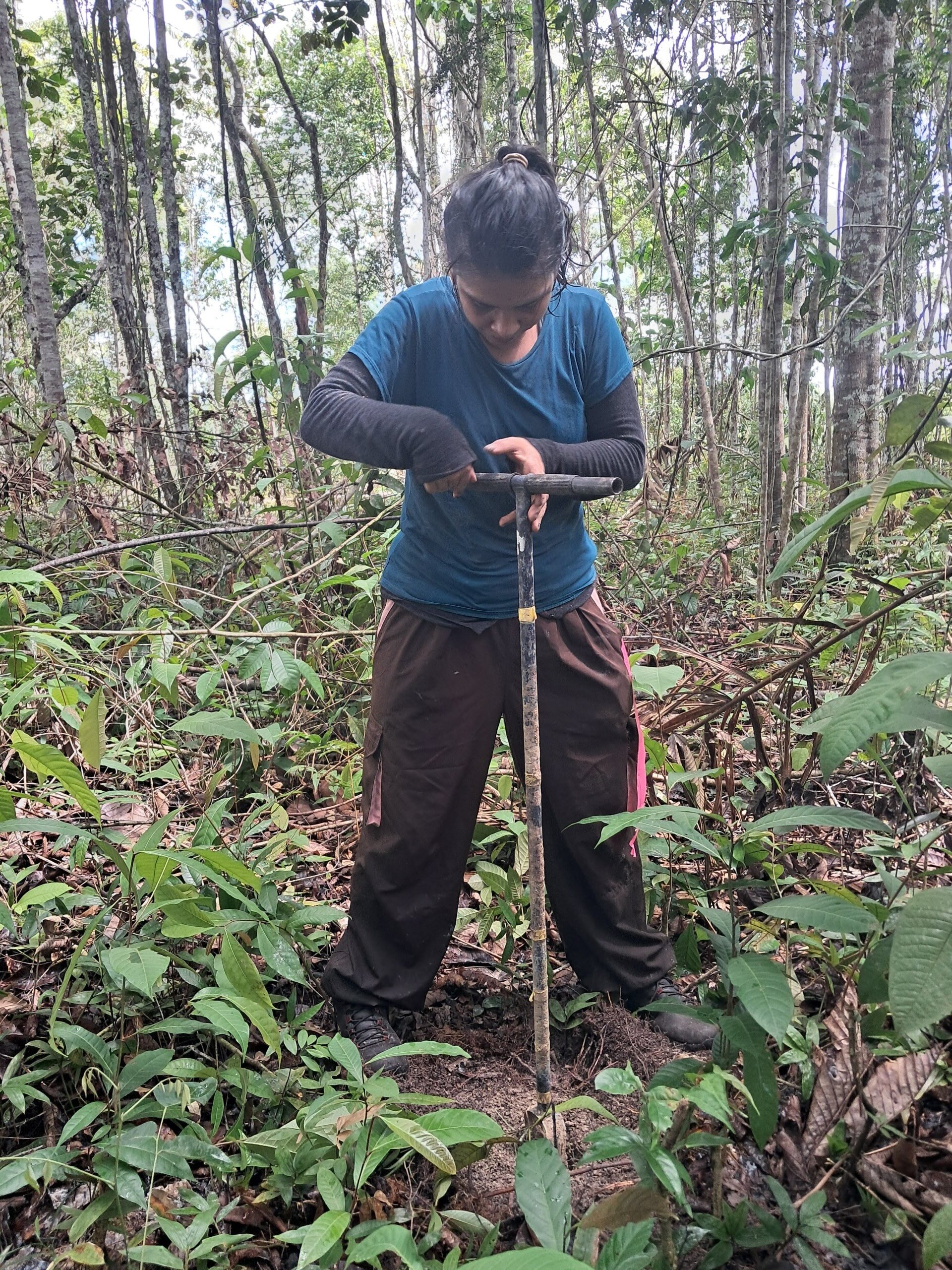 Changes in soil carbon following fire in forests regrowing on abandoned pastures in Central Amazonia