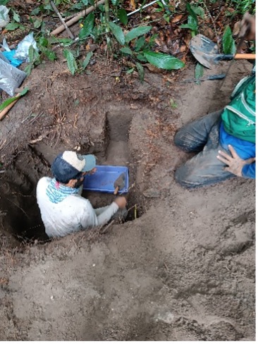 Fieldwork Investigates Forest Carbon, Structure, and Composition on Sandy Soils in Southern Amazonia