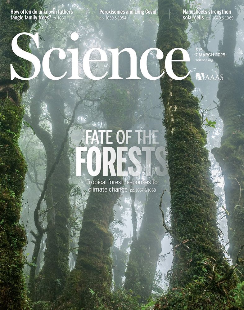 Tropical forests in the Americas are changing too slowly to track climate change