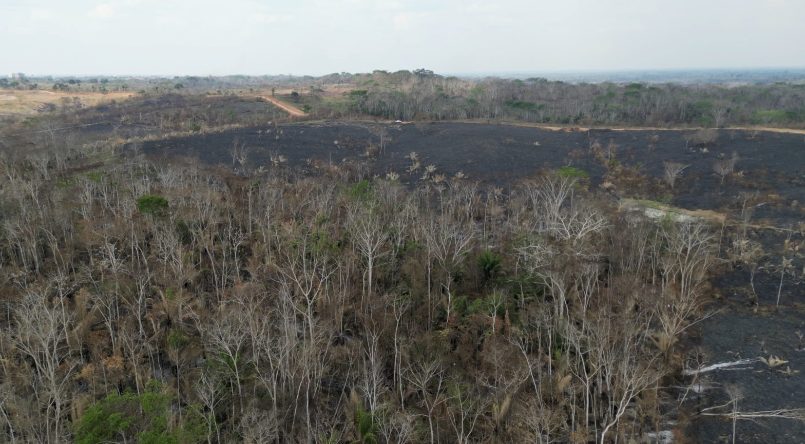 Amazon Soil Carbon — The Missing Credit