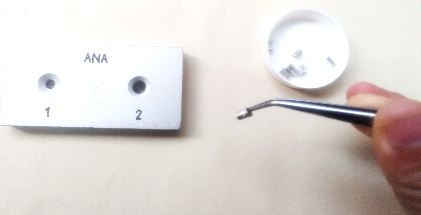 Small tin capsules used to hold ~20 mg of processed soil for carbon and nitrogen isotope analysis in the mass spectrometer