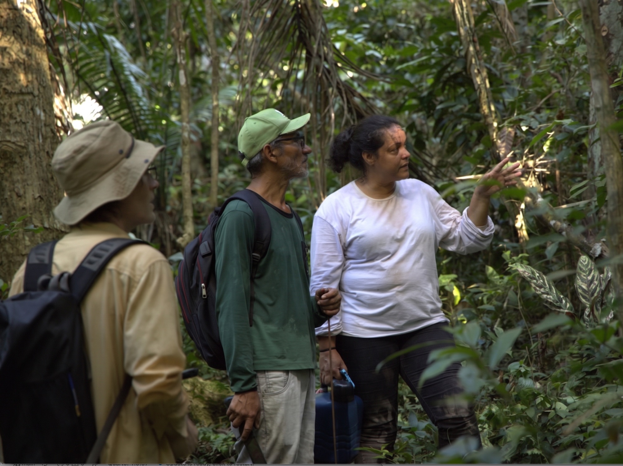 Prof. Sonaira Silva and the team conducting fieldwork in degraded forests in Acre, Amazonia.