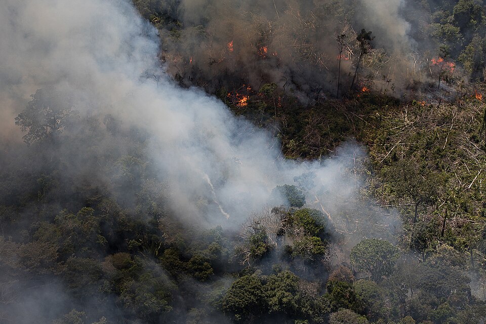 Aerial view of deforested and burning Amazon forest in Rondônia, 2020