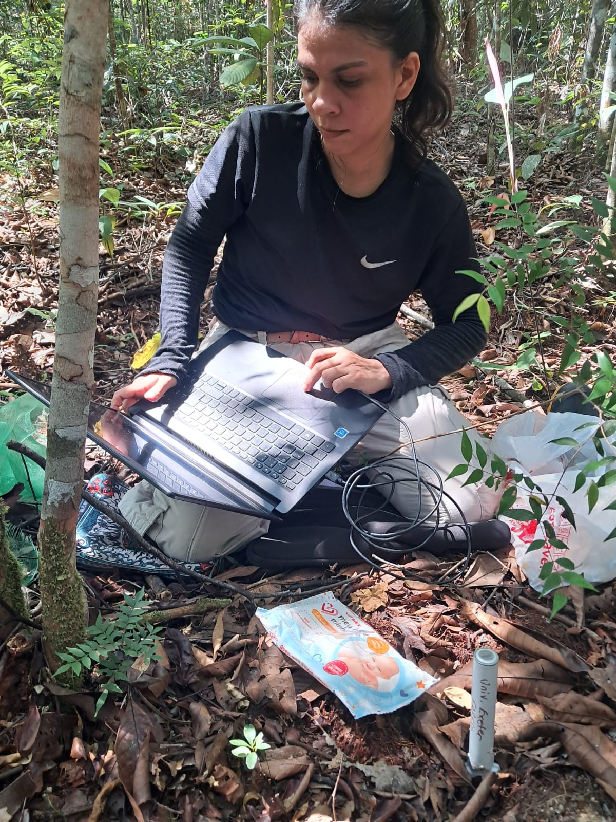 MSc completed: Lorena de Souza Fleury traces a 25-year legacy of soil fertilisation in Amazonian secondary forests