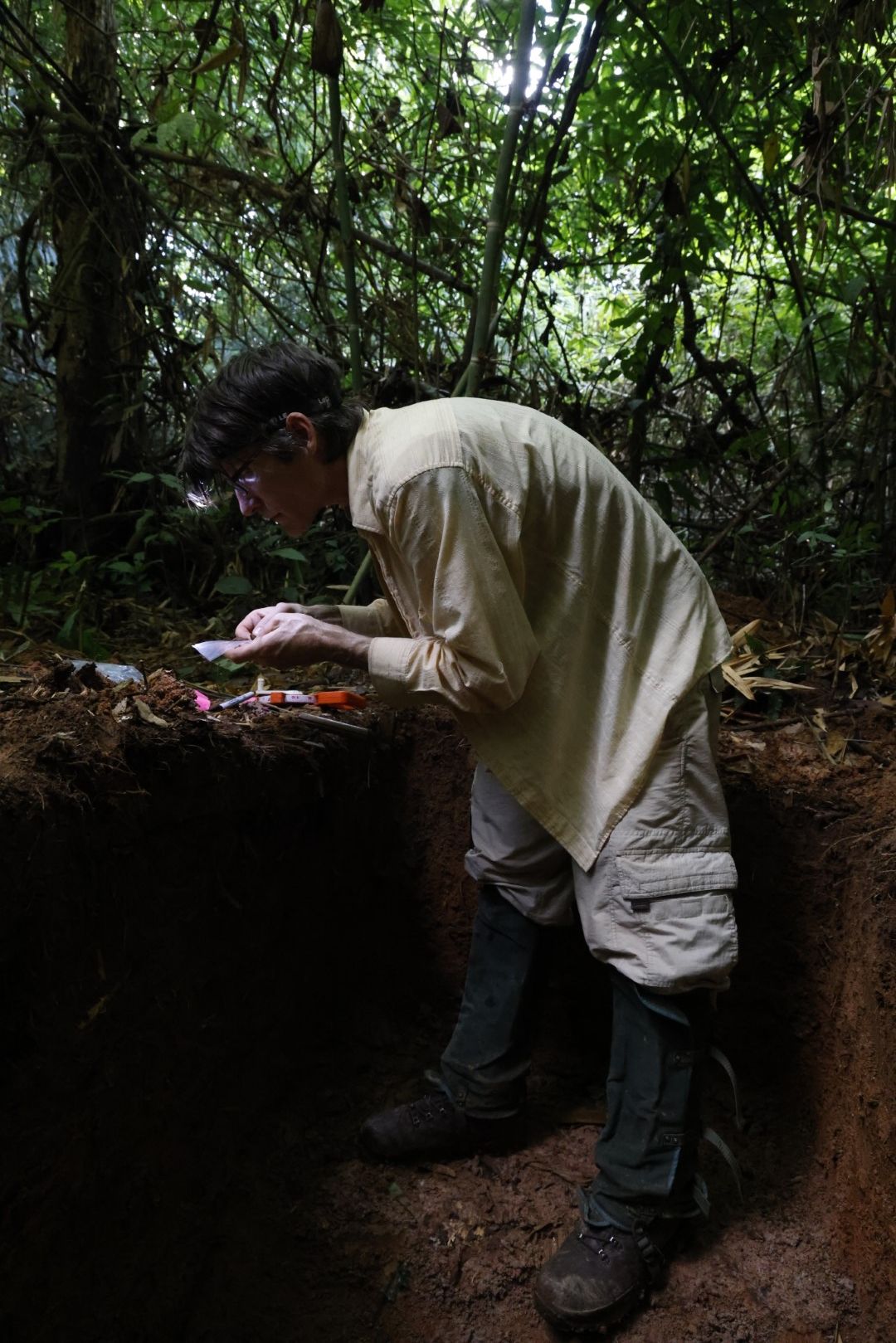 Researcher sampling soil layers in a one-metre-deep trench in burned Amazonian forest, Acre, Brazil