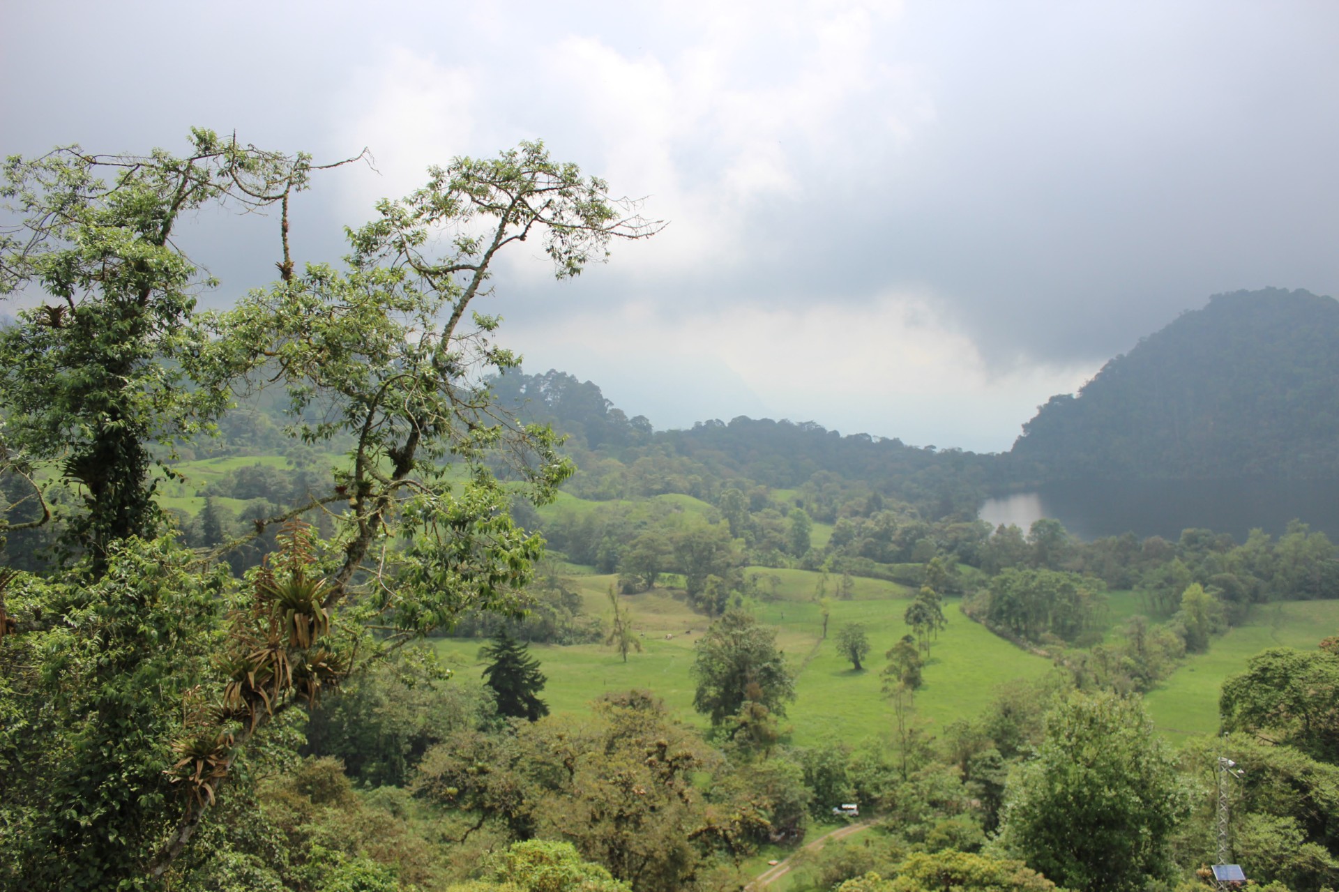 High-elevation tropical forest soils in Colombian Andes store nine times more pyrogenic carbon than Amazonian forests