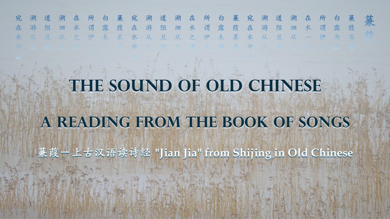 Seminar by Professor Barend ter Haar on ‘The Social and Cultural History of Sound in China’ on 6 February 2025