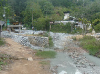 Bursary success for Eliana