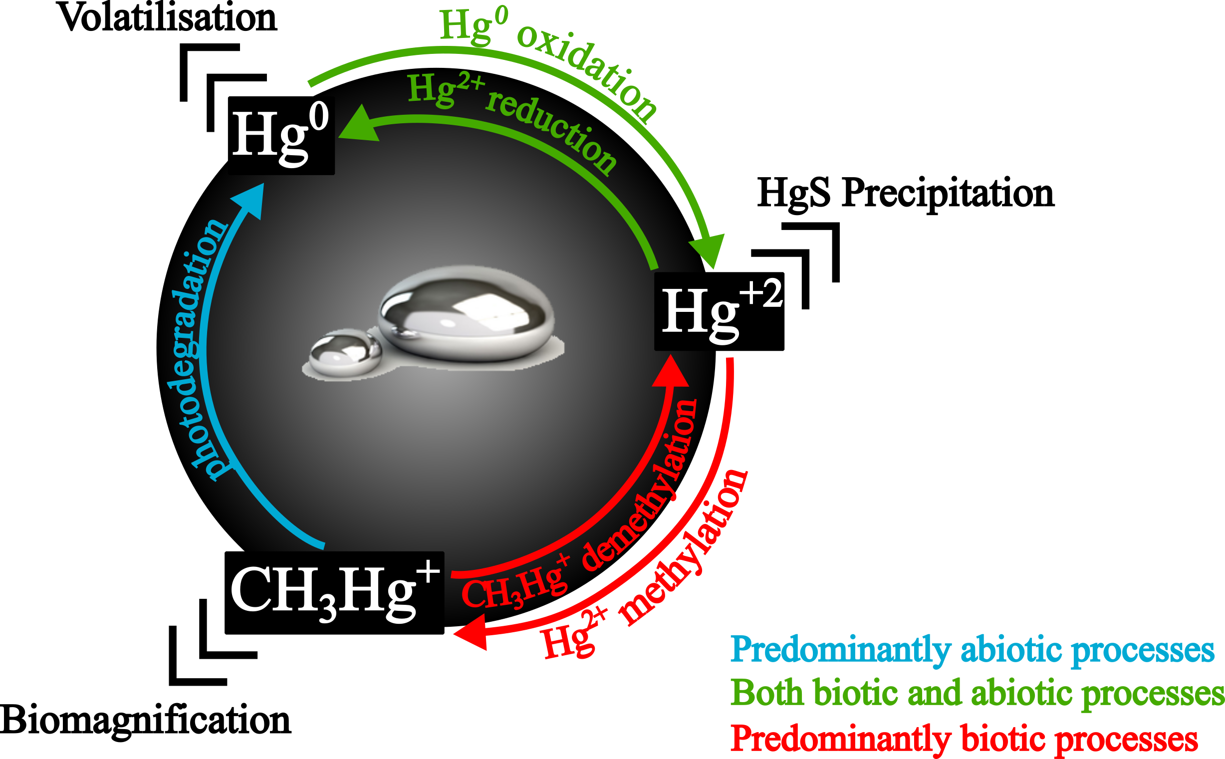 Mercury: history, facts and concerns