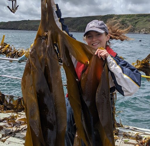 Research Insights: Sophie Corrigan – Seaweed farming in the Southwest
