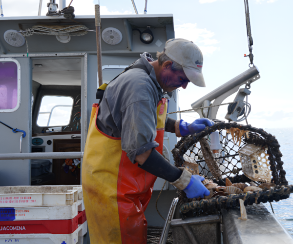 Research in Focus: Bycatch reduction technologies with Fishtek Marine