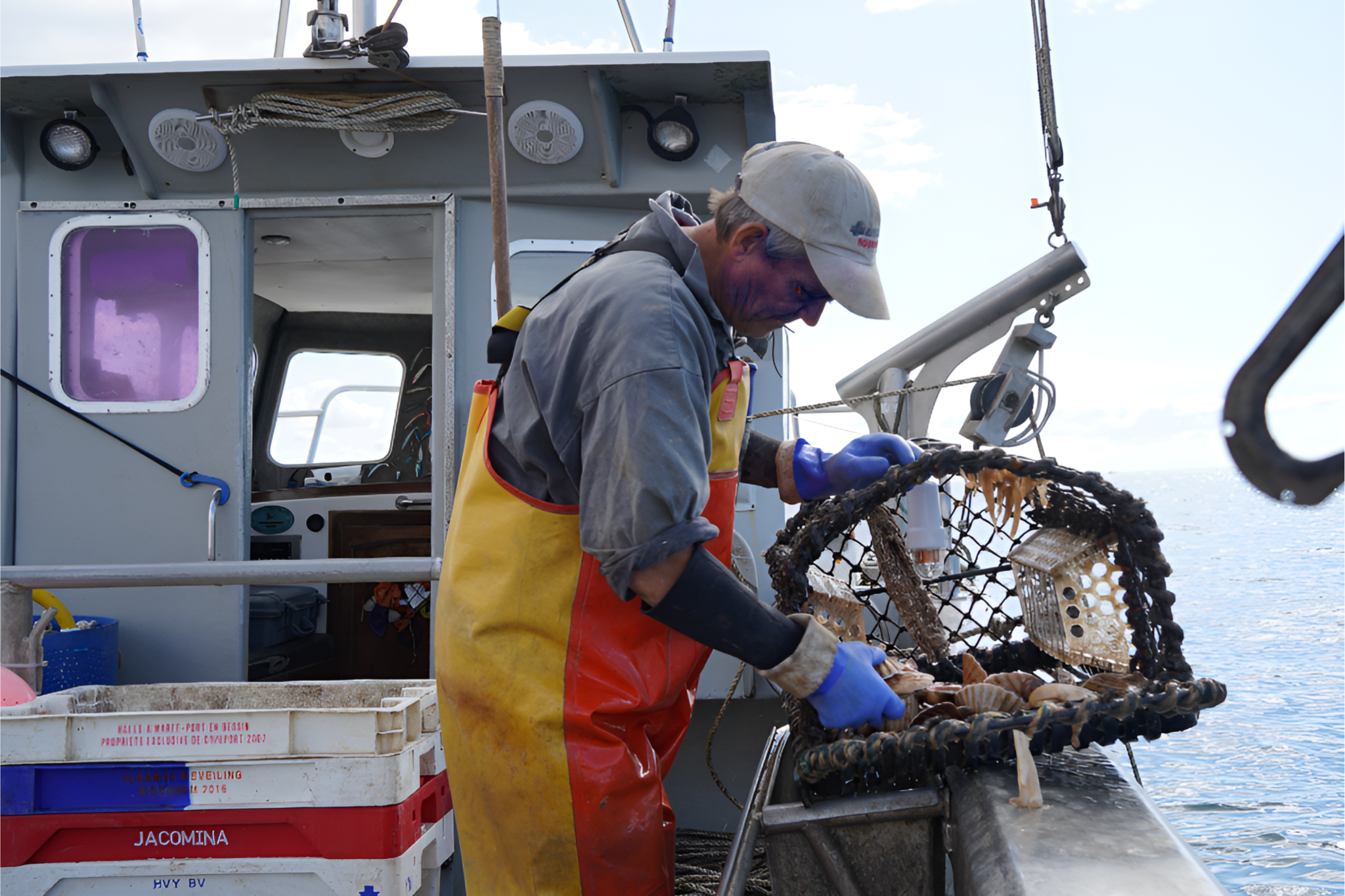 Research in Focus: Bycatch reduction technologies with Fishtek Marine