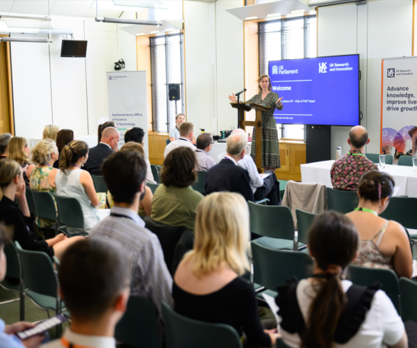 How Thematic Research Leads Work with Parliament 