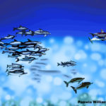 Pamela Williamson - Dolphins 3