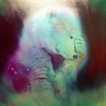 April Griffin Northern Lights