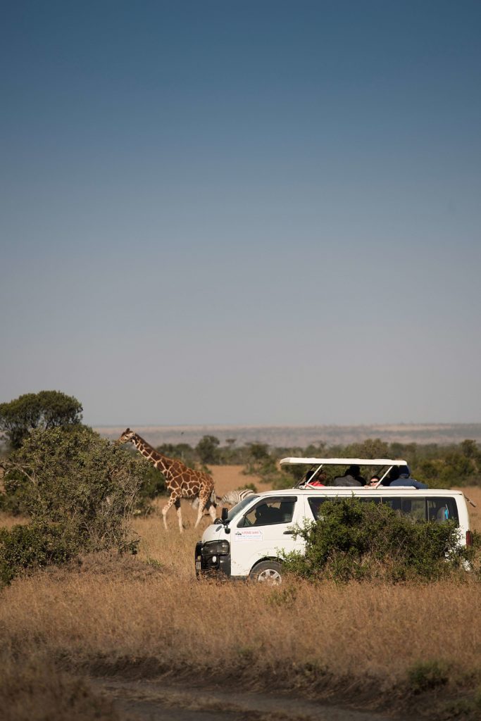 Postgraduate students watch giraffes and zebras on the Conservation field trip to Kenya