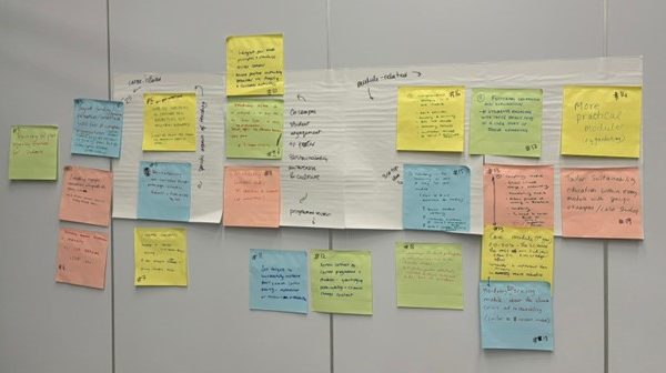 How can we embed sustainability and climate change in the curriculum? A GSI Assembly from a facilitator perspective