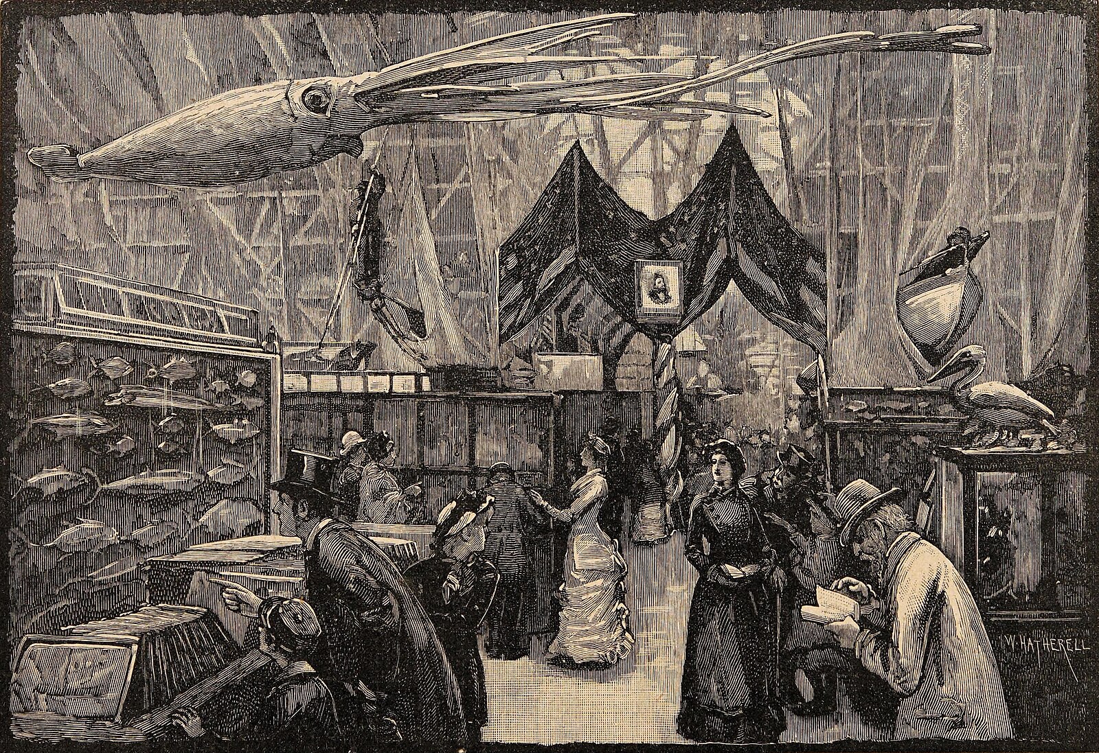Whalebone corsets and the Northern Whaling Fishery