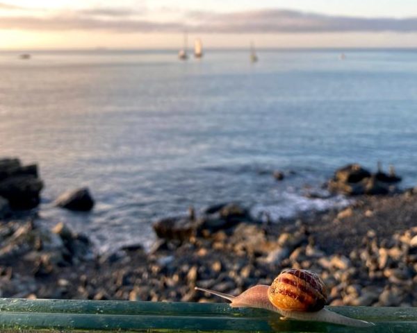 An invitation to unwind…