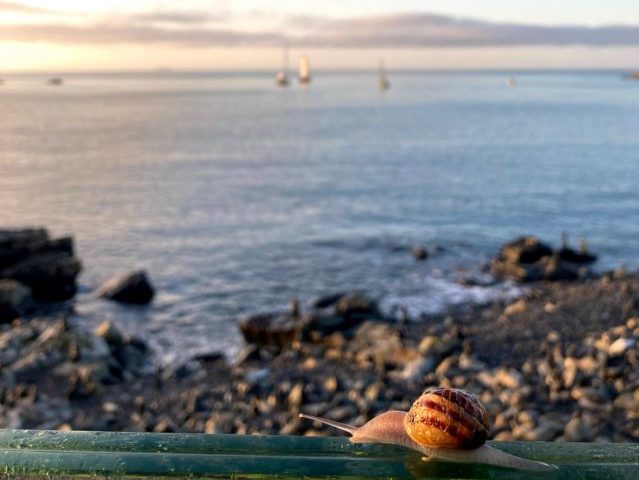 An invitation to unwind…