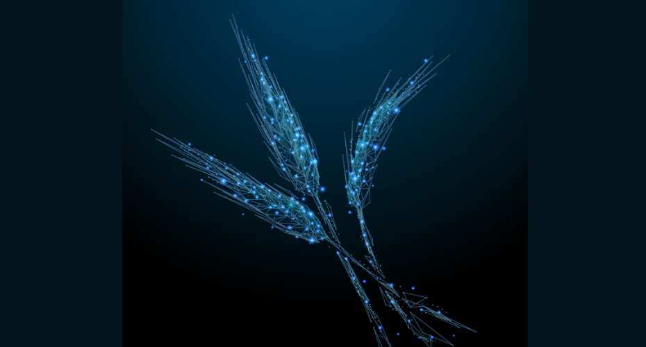 Dark blue background image featuring three stalks of a grass which are lit up with lots of dots