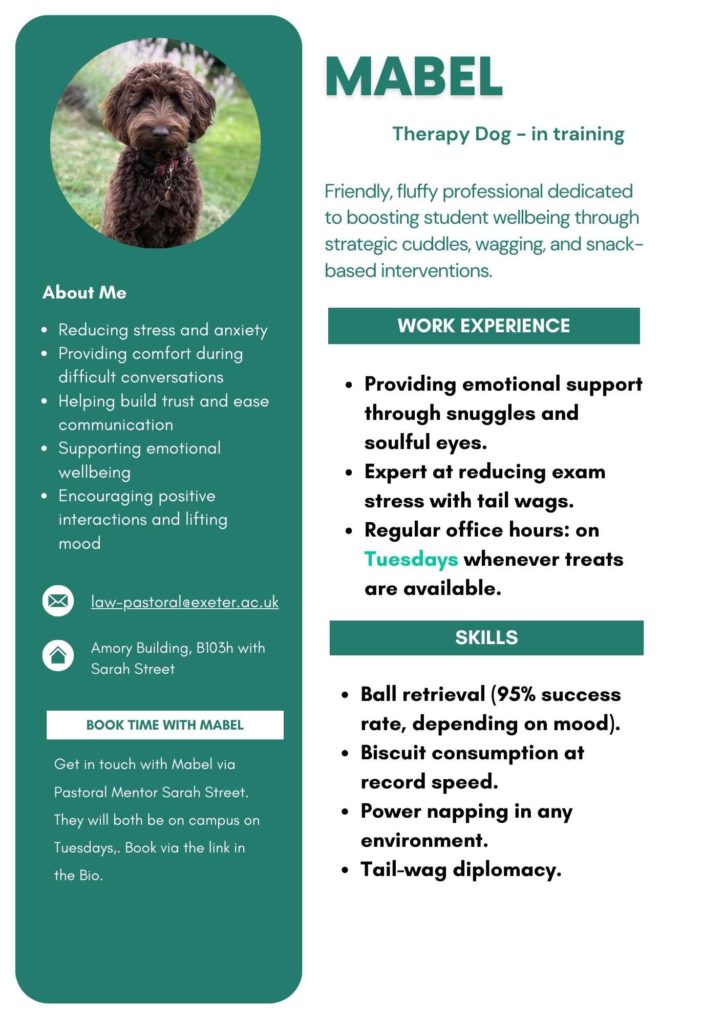 Promotional CV for Mabel. There is a photo of the brown dog called Mabel. Then the information is: BOOK TIME WITH MABEL. A new section says About Me, with these bulletpoints underneath.
Reducing stress and anxiety.
Providing comfort during difficult conversations.
Helping build trust and ease communication.
Supporting emotional wellbeing.
Encouraging positive interactions and lifting mood.
Email icon followed by law-pastoral@exeter.ac.uk.
Building icon followed by Amory Building, B103h with Sarah Street.
New information box says: Get in touch with Mabel via Pastoral Mentor Sarah Street. They will both be on campus on Tuesdays,. Book via the link in the Bio.
On the right hand side: the wording is MABEL, Therapy Dog - in training.
WORK Experience. Skills. Providing emotional support through snuggles and soulful eyes. Expert at reducing exam stress with tail wags.
Regular office hours: on Tuesdays whenever treats are available.
Friendly, fluffy professional dedicated to boosting student wellbeing through strategic cuddles, wagging, and snack-based interventions.
Ball retrieval (95% success rate, depending on mood).
Biscuit consumption at record speed.
Power napping in any environment.
Tail-wag diplomacy.