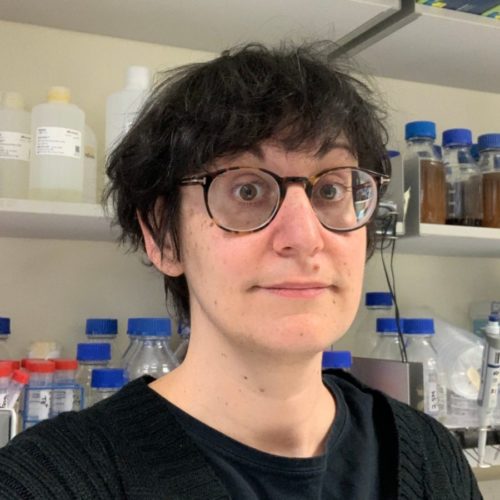 Expert in Cryptococcus neoformans chromatin and epigenetics joins the MRC Centre for Medical Mycology at the University of Exeter.