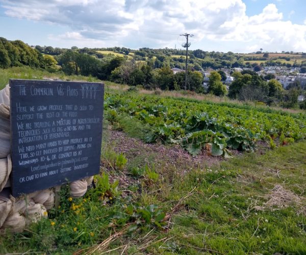 Loveland: Using Sustainable Food Growth to Connect Communities