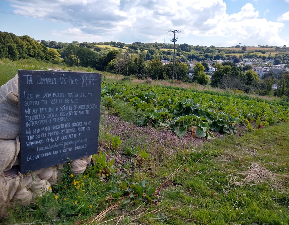 Loveland: Using Sustainable Food Growth to Connect Communities