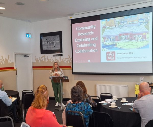 Collaboration and Celebration with the VCSE Sector