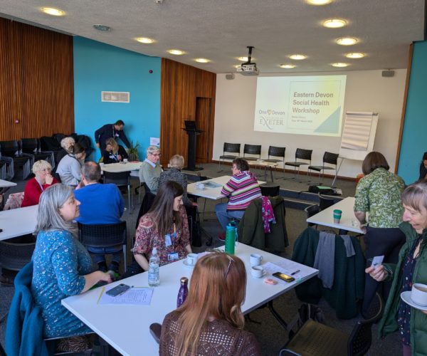 Eastern Devon Social Health Research Workshop 