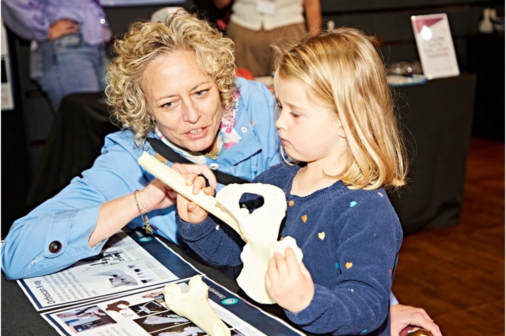 A parent and child looking at archaeological models