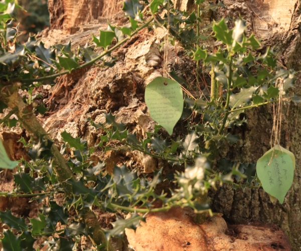 Creative Approaches to Knowledge Exchange: The Interplay of Arts and Science in Sexuality Studies 