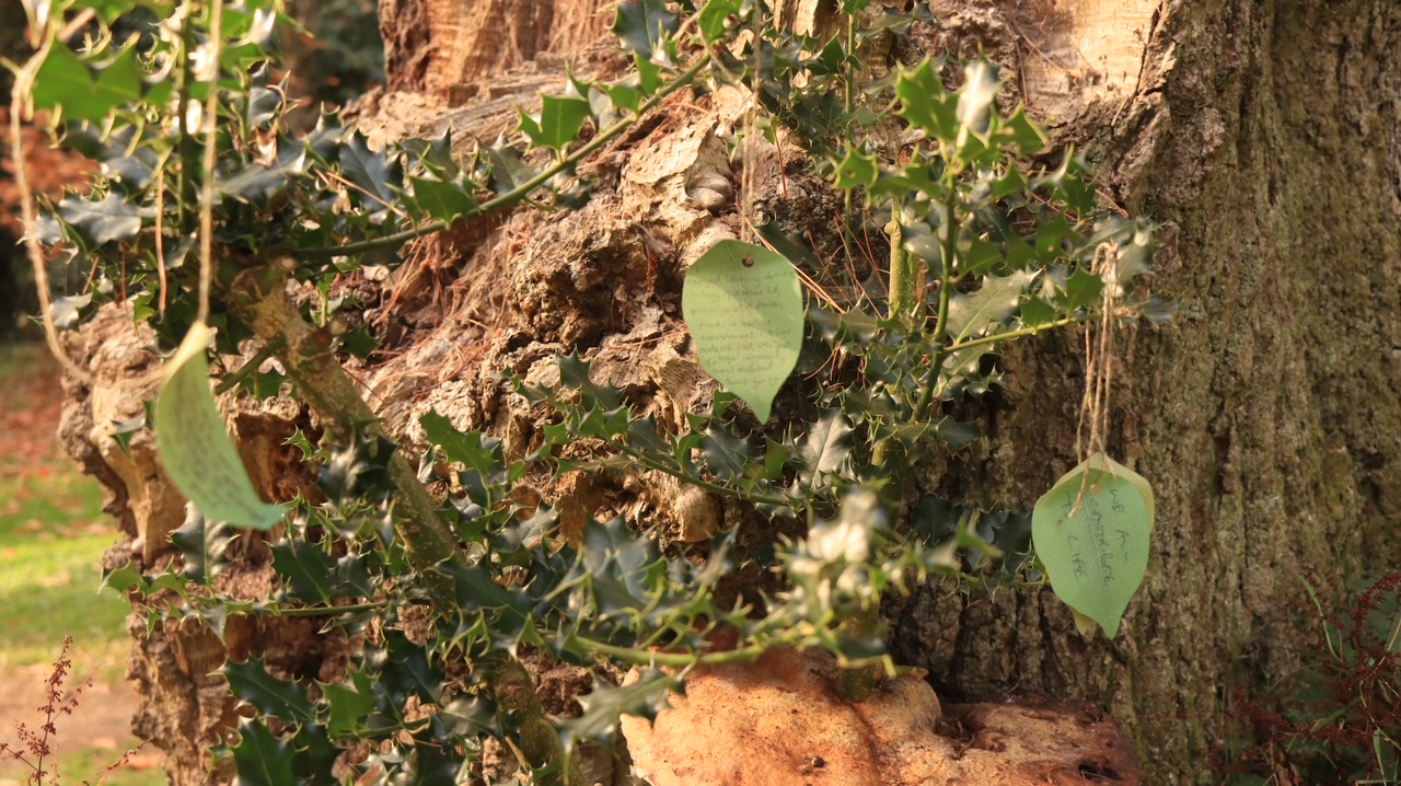 Creative Approaches to Knowledge Exchange: The Interplay of Arts and Science in Sexuality Studies 