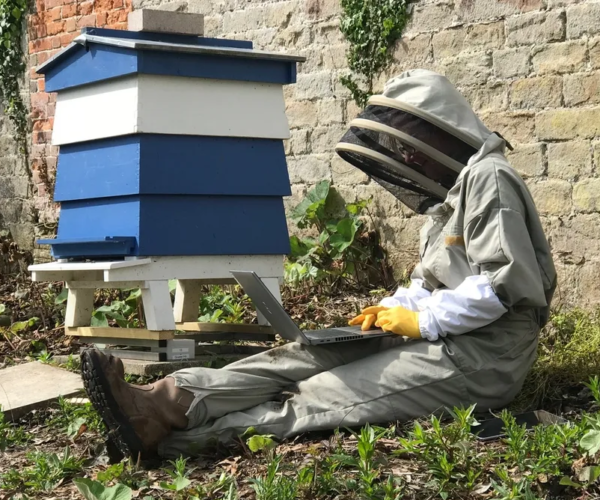 What is sustainable beekeeping and how can / should we do it?
