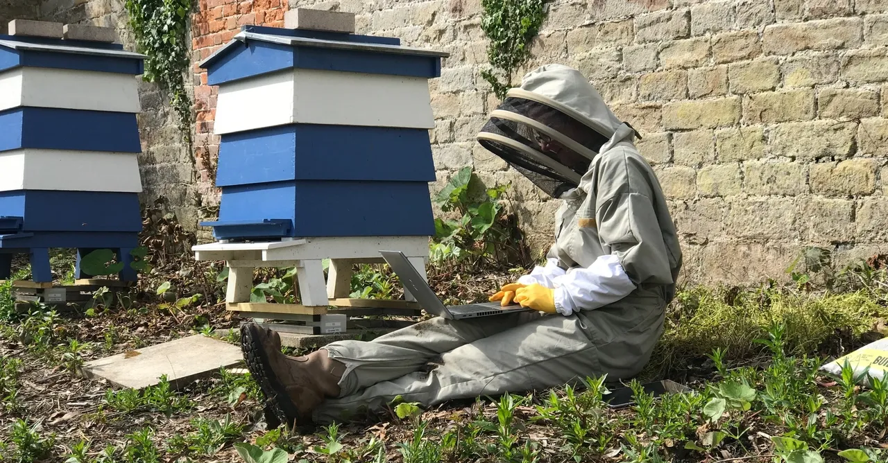 What is sustainable beekeeping and how can / should we do it?