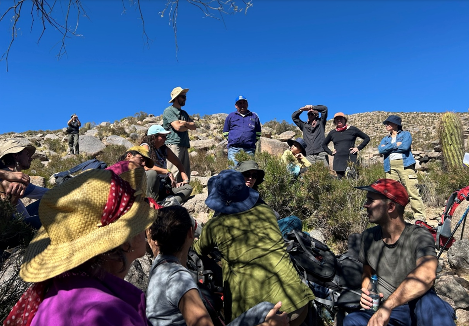 Andean Futures: Collaborative, Interdisciplinary and Intercultural Strategies for Sustainable Biocultural Policies in NW Argentina 